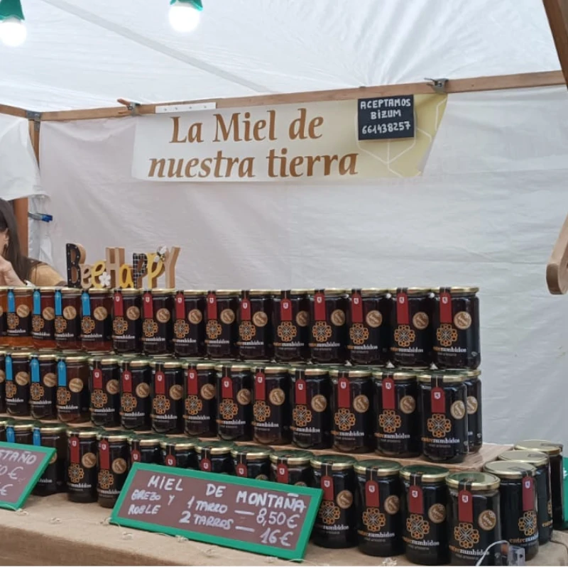 Gestion-Alojamientos-Mercado-Medieval-00