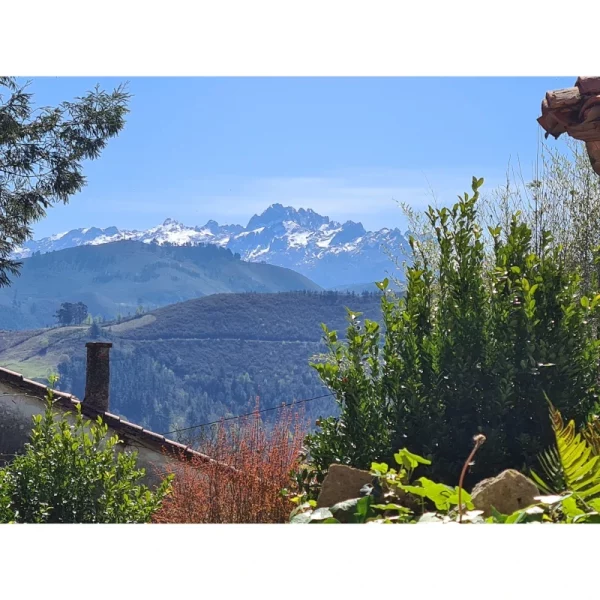 Gestion-Alquileres-Cangas-de-Onis-Les-Casines-Babu - 04